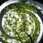 Retail Supply Chain Challenges: Navigating Complexity in a Changing Market